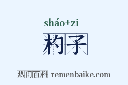 杓子是什么意思的图片